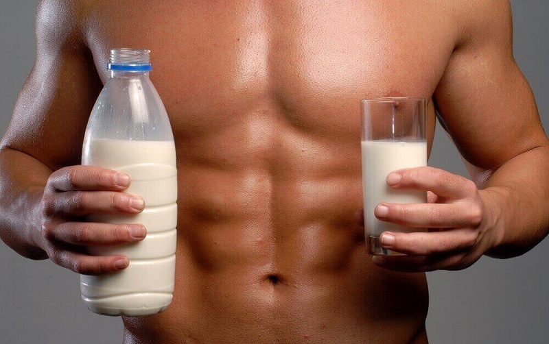 Sữa tăng cơ