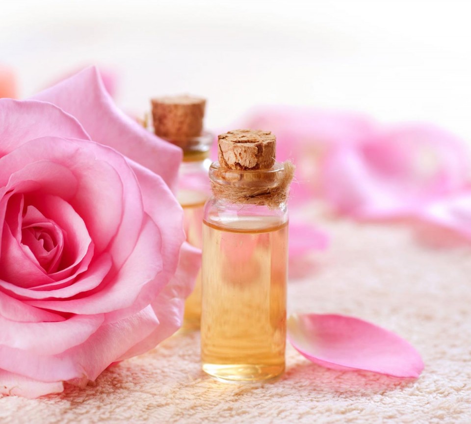 Tinh chất chiết xuất từ hoa hồng có tác dụng làm dịu; có thể sử dụng làm thành phần trong các loại kem dưỡng tay hay chăm sóc móng