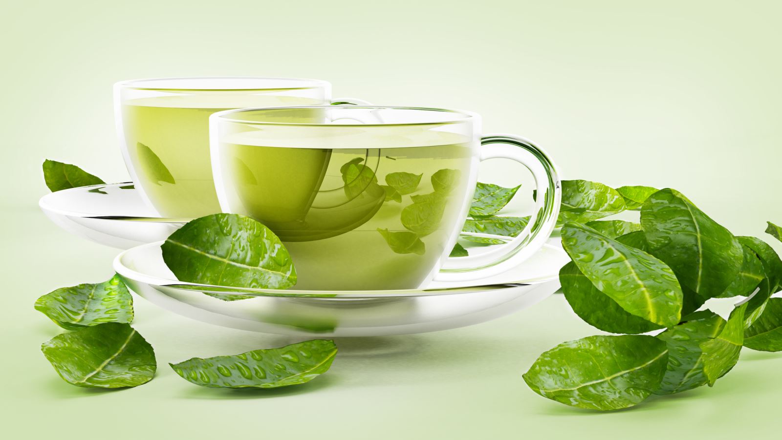 25% tinh chất dưỡng bên trong lá trà xanh là catechin - dưỡng chất giúp chống nắng hiệu quả