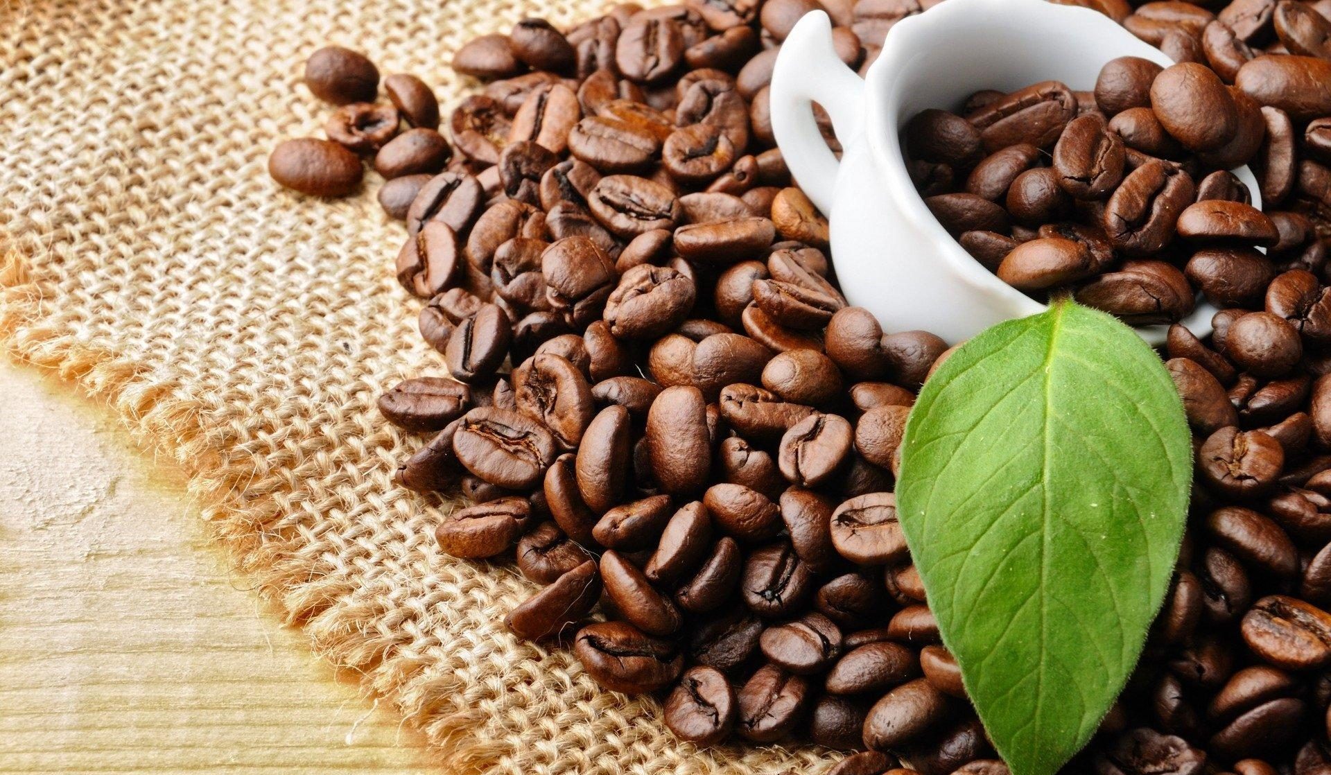 Cà phê giúp bạn có mái tóc bồng bềnh, chắc khỏe ra sao?
