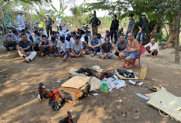 Những người tham gia đá gà ăn tiền bị bắt giữ ở xã Tân Lý Đông, huyện Châu Thành vào chiều 13-2 - Ảnh: HOÀI THƯƠNG